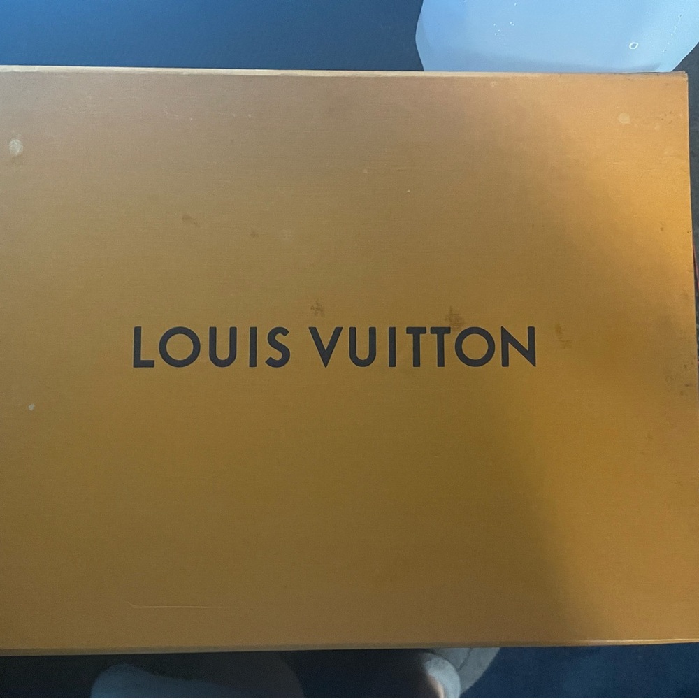 Louis Vuitton Skate Sneakers